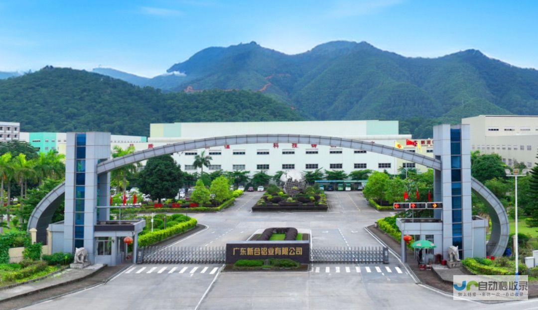 新河专业网站建设服务：从设计到上线，全方位满足您的互联网需求。