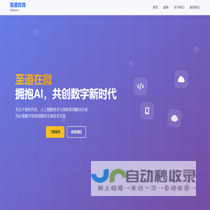 至道在微信息技术 - 专业软件开发与AI技术服务